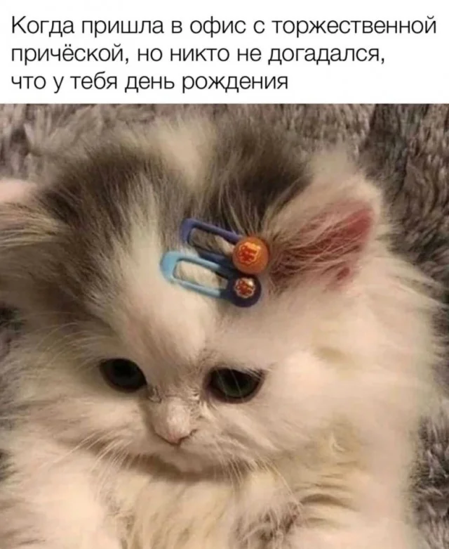 Мемный трешачок