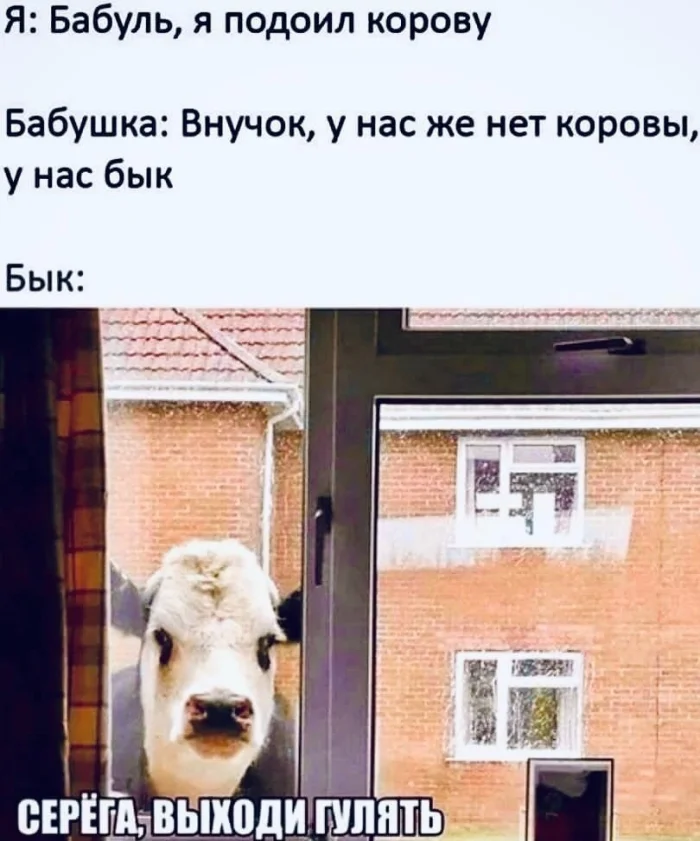 Пошлые мемы и чёрный юмор 18+ | Подборка #8 Пошлые мемы и чёрный юмор 18+ | Подборка #8