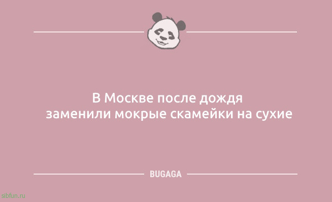 Анекдоты дня: «Что-то тараканы в голове притихли…» 