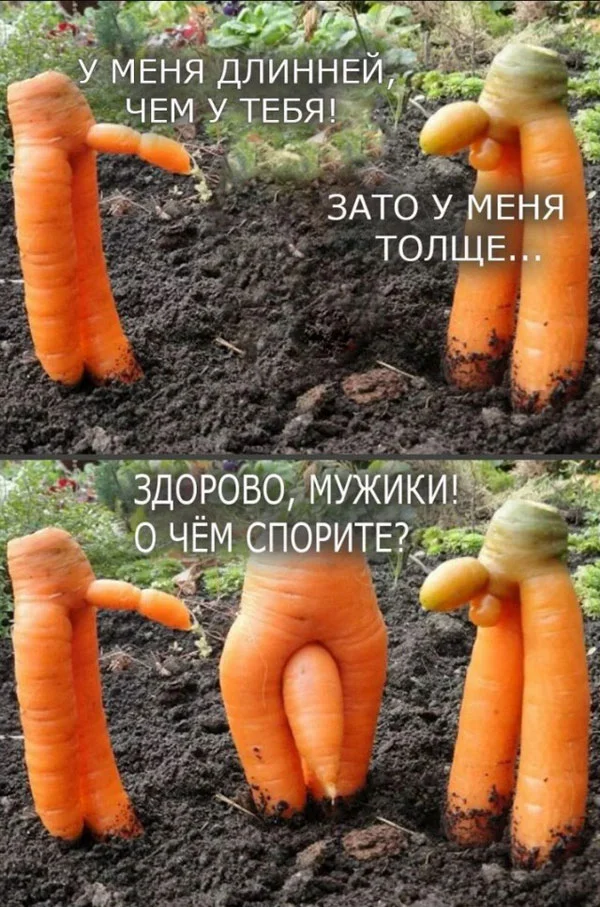 Баяные мемы