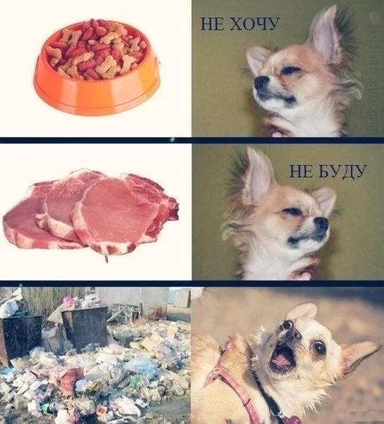 Мемы пропитанные деградацией