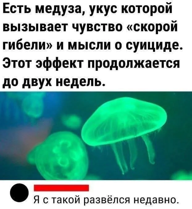 Отличные мемы в ленту