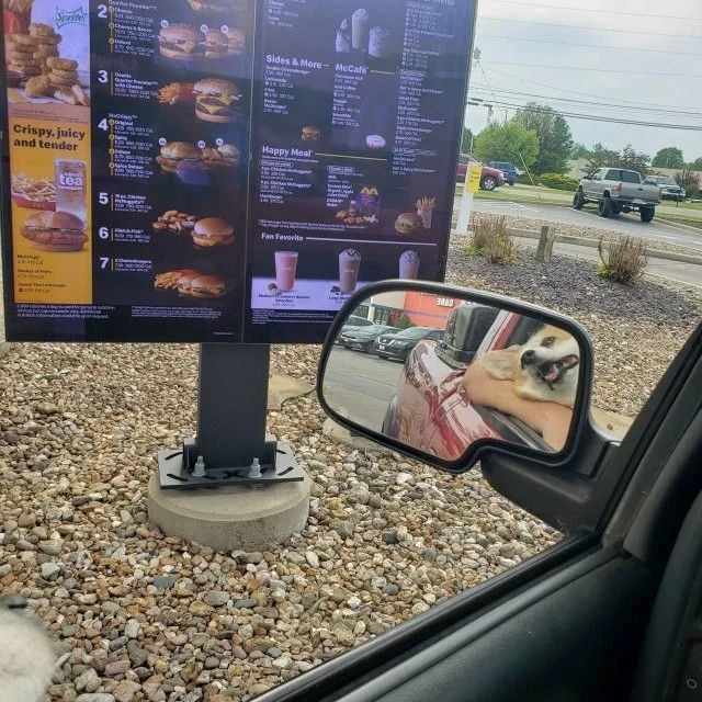 Смешные скрины из соцсетей #118