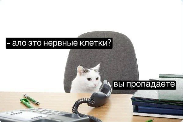 Смешные скрины из соцсетей #119 Смешные скрины из соцсетей #119