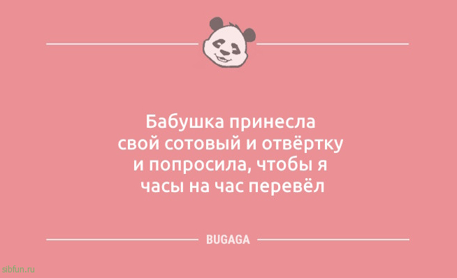 Шутки и анекдоты: «Бабушка принесла свой сотовый…» 