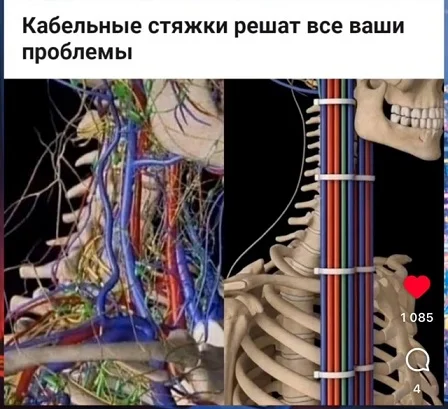 Мемы в ленту #1