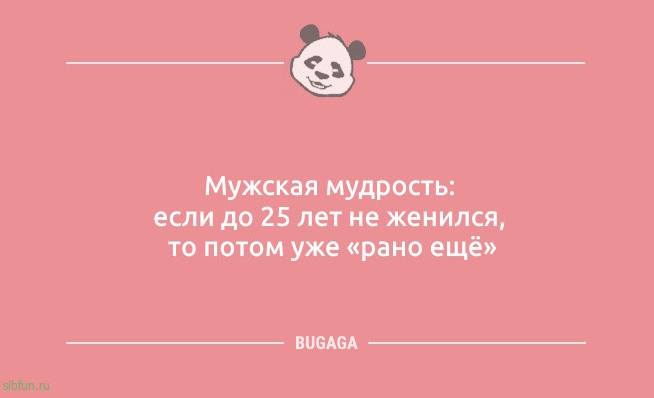 Шутки и анекдоты: «Бабушка принесла свой сотовый…» 