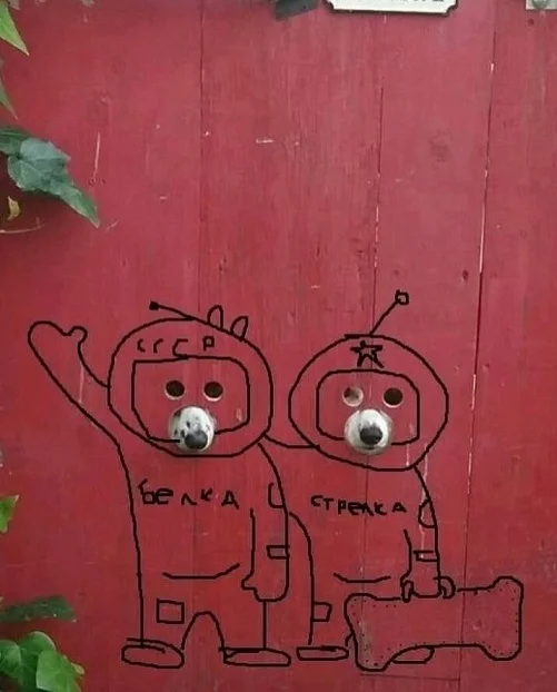 Подборка мемов #1