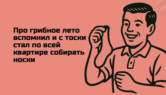 Осенний лес в красках: подборка тёплых и атмосферных фотографий