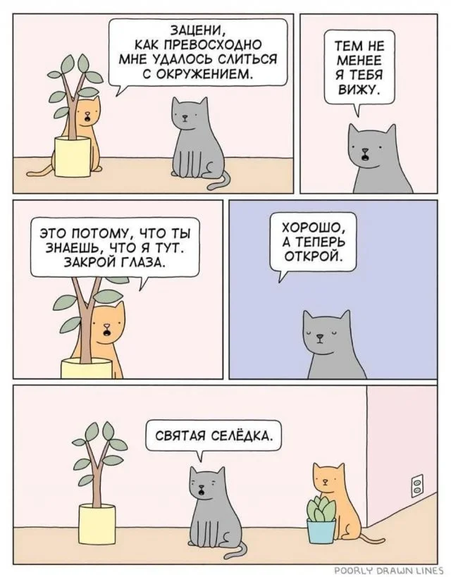 Смешные скрины из соцсетей #117