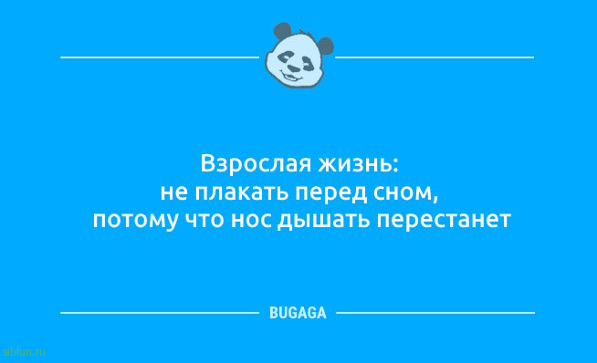 Анекдотов пост: &laquo;Взрослая жизнь&hellip;&raquo; 