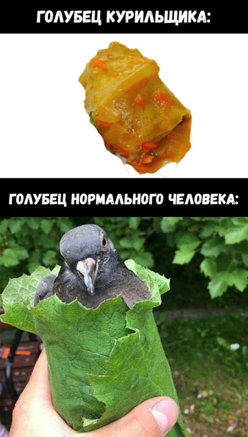 Немного чёрного юмора: мемы в запасе