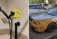 Монтажная пена — решение всех проблем: 16 смешных примеров «ремонта»