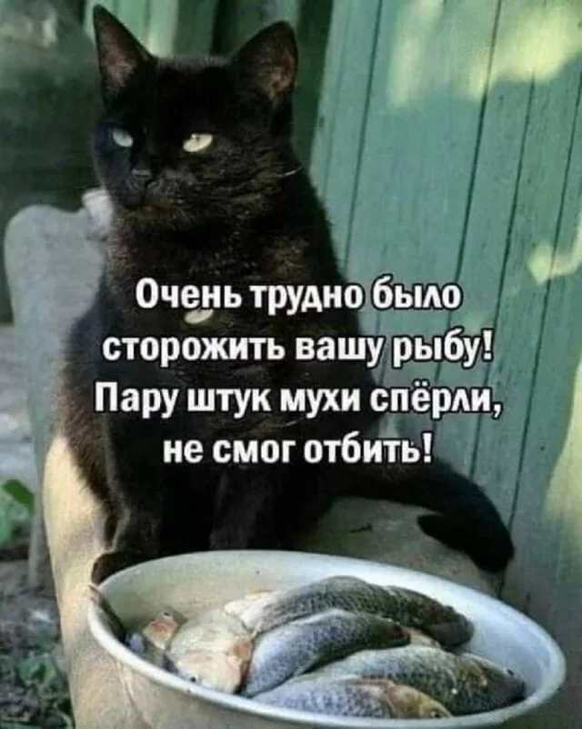 Мемы за сегодня