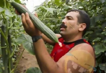 Пошлые мемы и чёрный юмор 18+ | Подборка #14