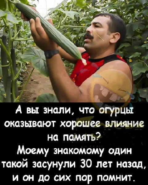 Пошлые мемы и чёрный юмор 18+ | Подборка #14 Пошлые мемы и чёрный юмор 18+ | Подборка #14