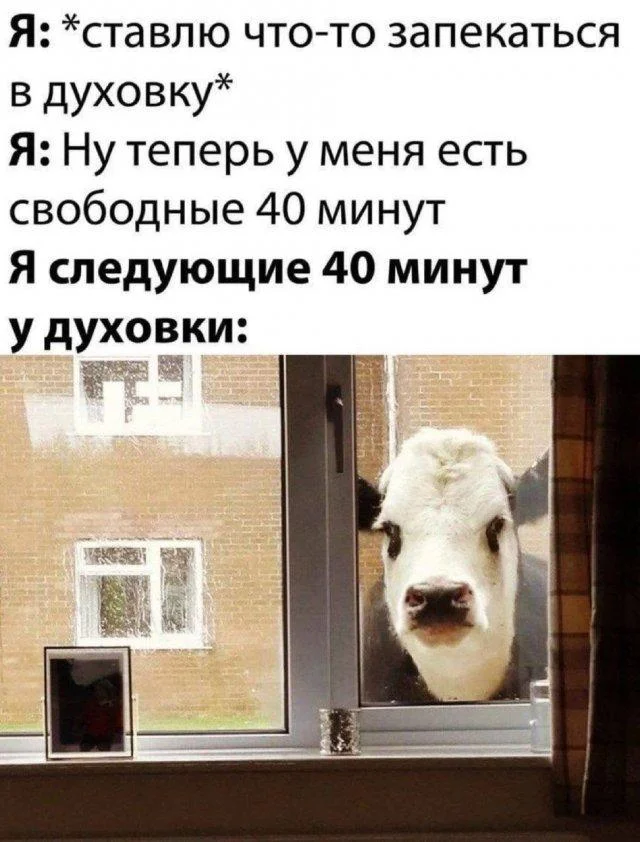 Деградационные мемы