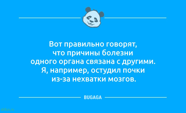 Анекдотов пост: &laquo;Взрослая жизнь&hellip;&raquo; 