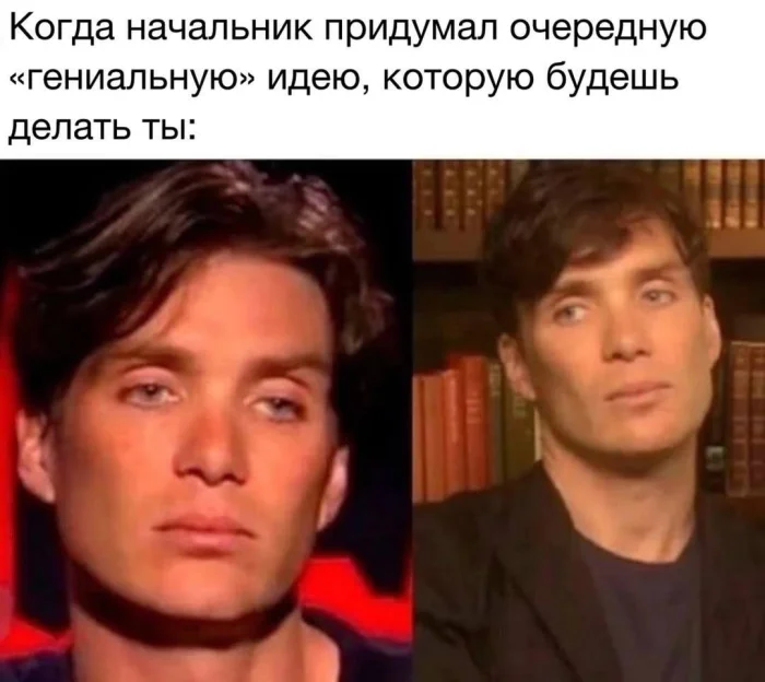 Мемы из мира кино