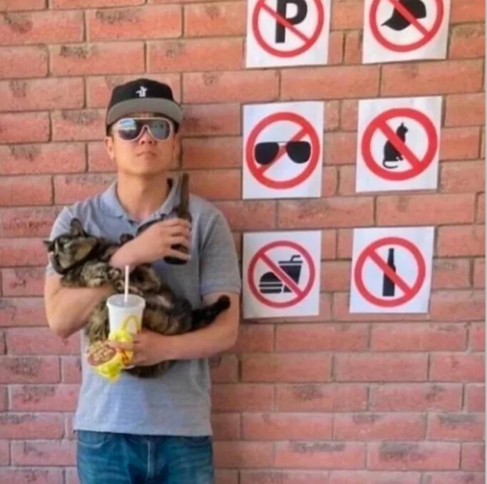 20 смешных ситуаций, которые напоминают: радость рядом 20 смешных ситуаций, которые напоминают: радость рядом