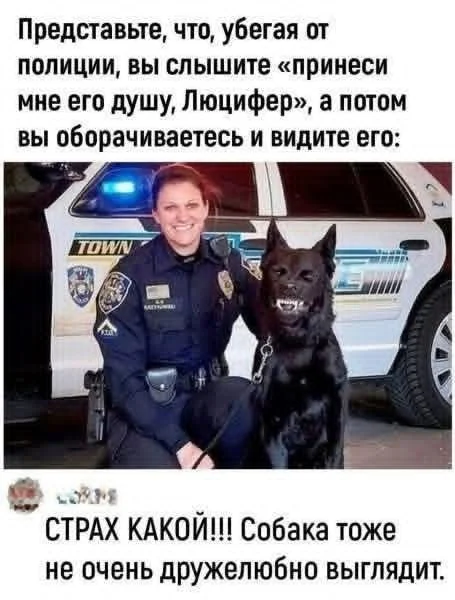 Подборка мемов