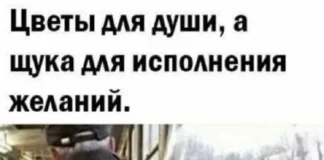 Веселые мемы