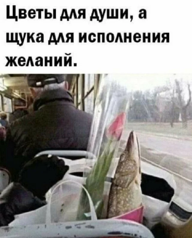 Веселые мемы