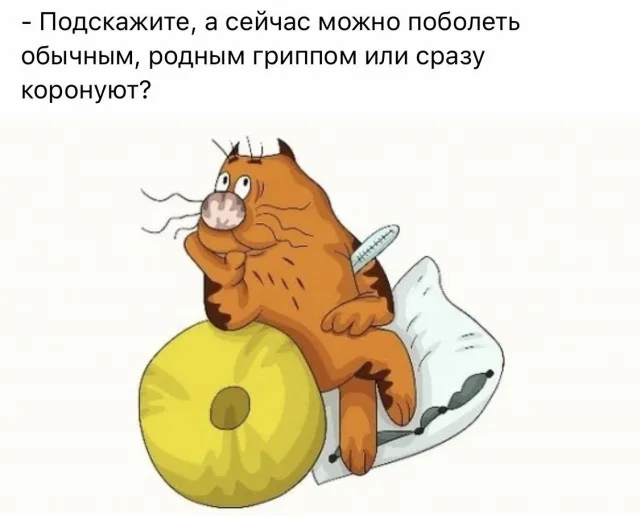 Лучшие мемы