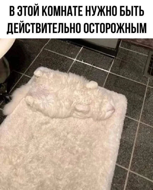 Лучшие мемы