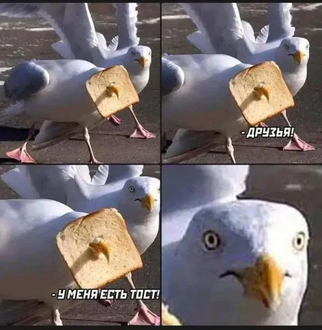 Отличные и веселые мемы