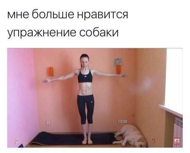 Смешные скрины из соцсетей #122