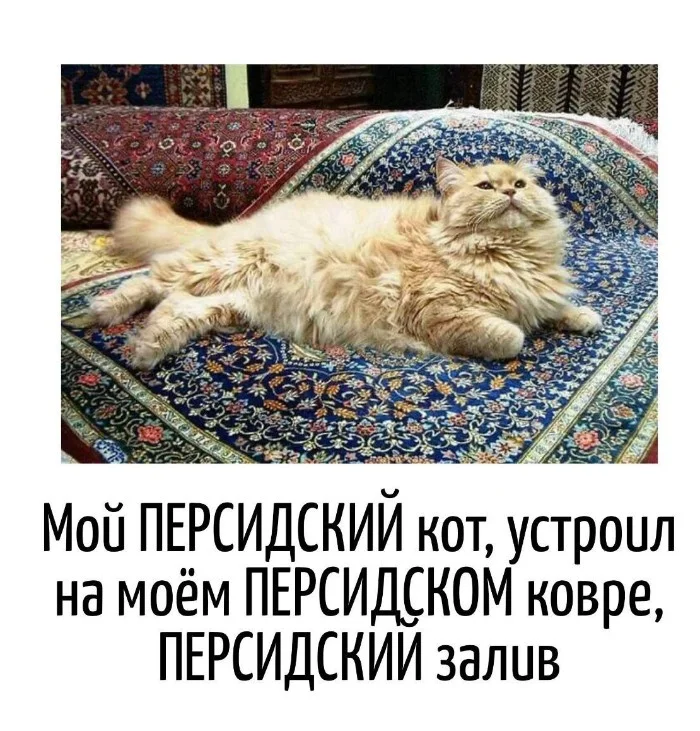 Игра слов – каламбуры, словесный юмор и прикольные картинки #128 Игра слов – каламбуры, словесный юмор и прикольные картинки #128