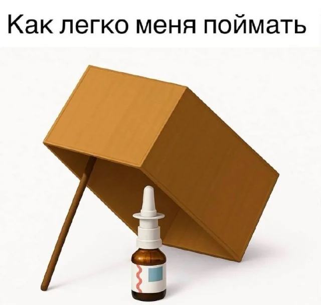 Мемы для деградации