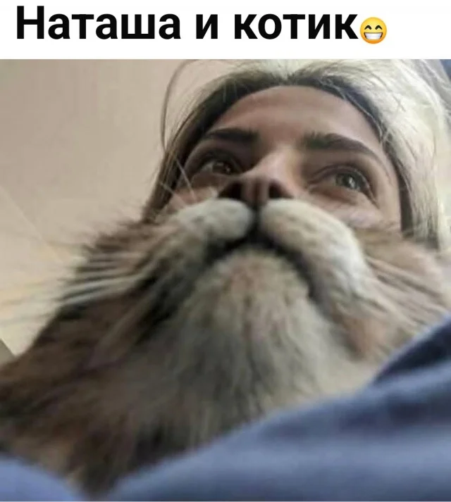 Подборка мемов