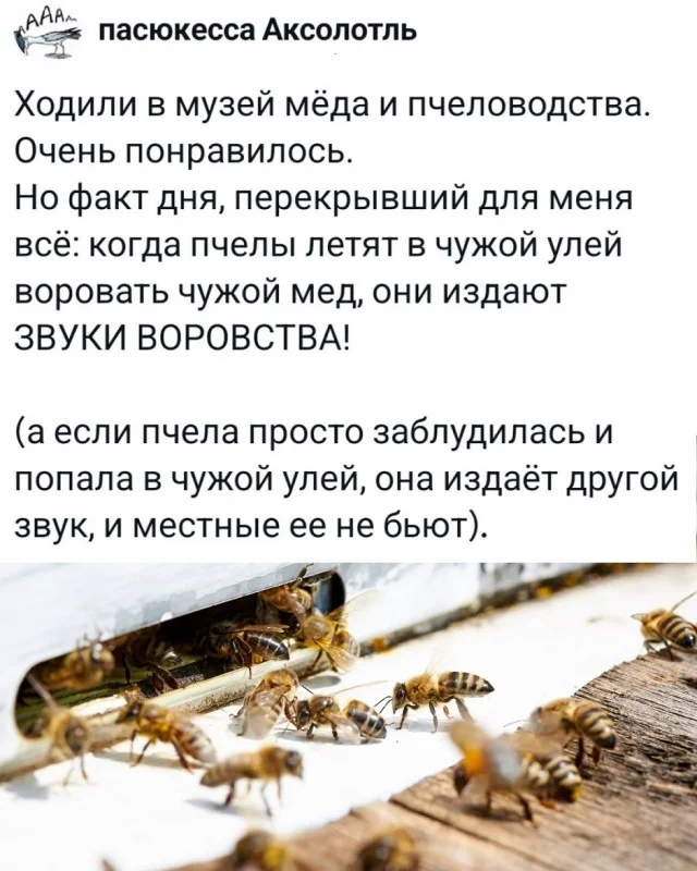 Мемы, что надо