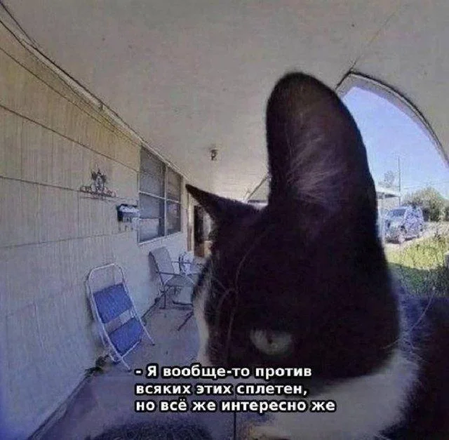 Мема-градация