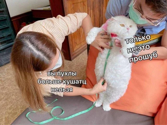 Мемы для деградации