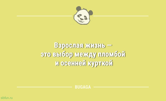 Анекдоты в середине недели: &laquo;Взрослая жизнь &mdash; это&hellip;&raquo; 