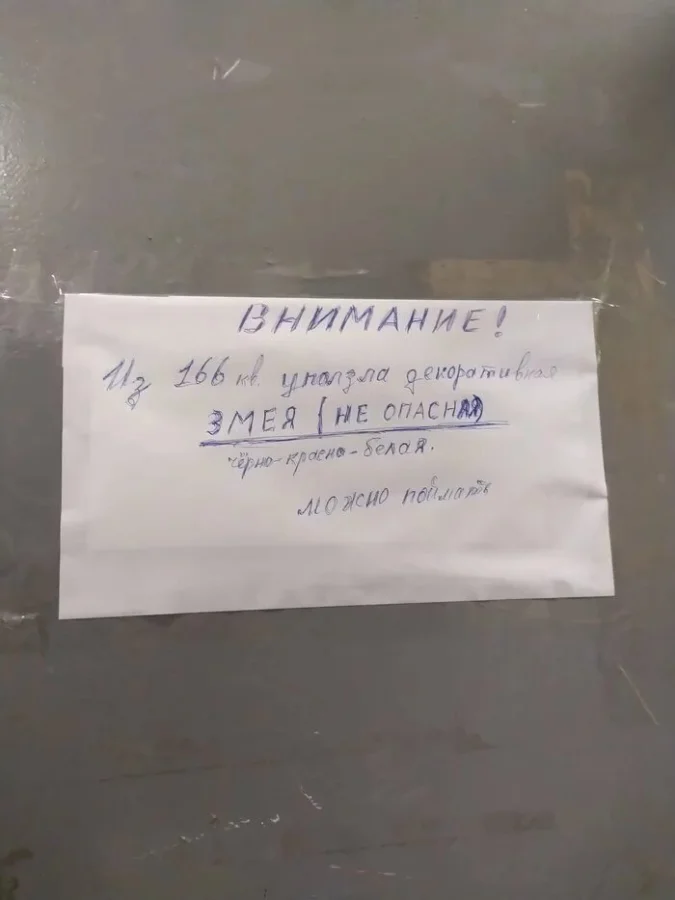 15 объявлений от людей с необычным чувством юмора и креативом