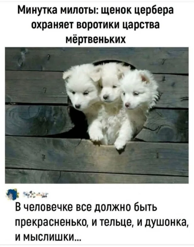 Подборка мемов