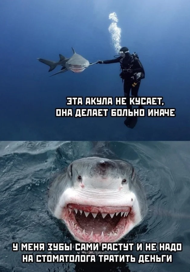 Смешные скрины из соцсетей #119 Смешные скрины из соцсетей #119