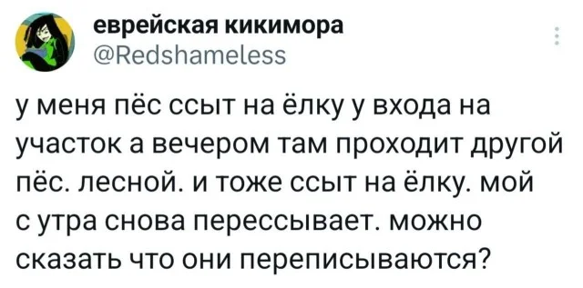 Мемы из интернетов