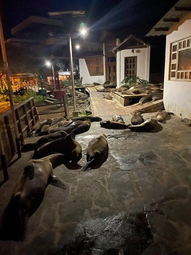 Когда всё пошло не по плану: 20 эпичных провалов, достойных чемпионства Когда всё пошло не по плану: 20 эпичных провалов, достойных чемпионства