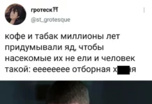 Растения и их эволюция