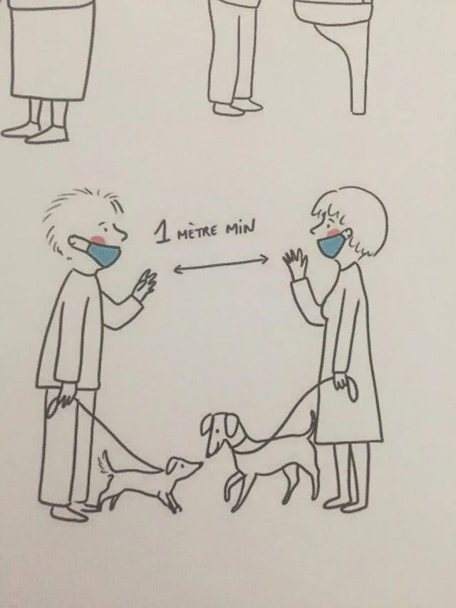 Когда учебники идут не по плану: 16 смешных ошибок в детских книгах Когда учебники идут не по плану: 16 смешных ошибок в детских книгах