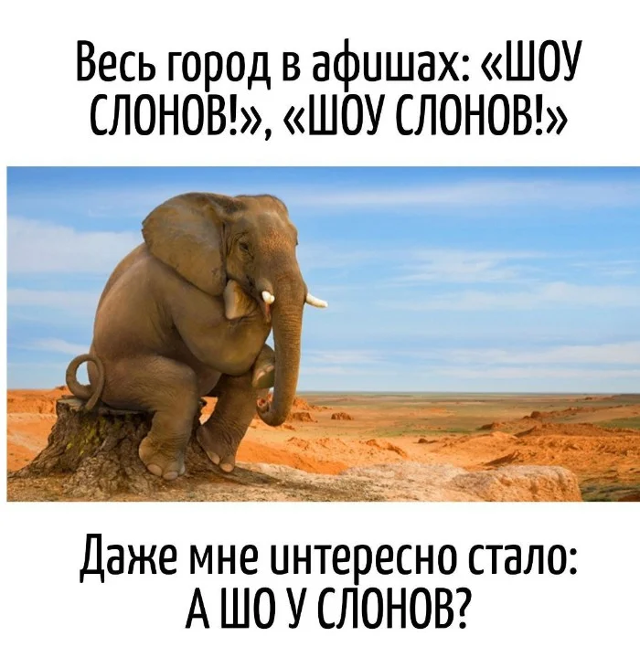 Игра слов – каламбуры, словесный юмор и прикольные картинки #125