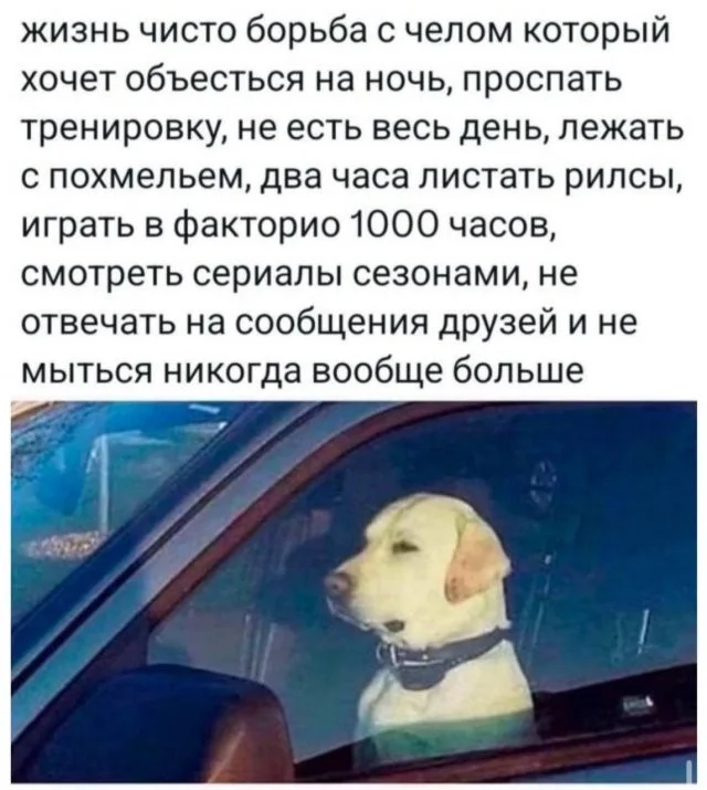 Смешные скрины из соцсетей #120