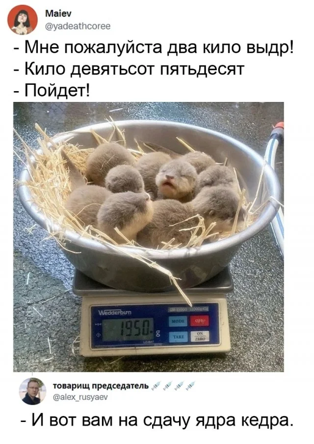 Мемы, что надо