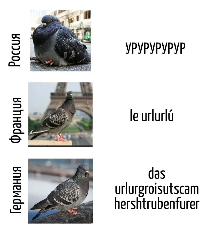 Игра слов – каламбуры, словесный юмор и прикольные картинки #122 Игра слов – каламбуры, словесный юмор и прикольные картинки #122