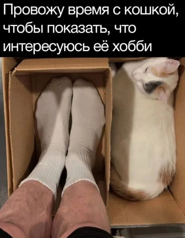 Смешные скрины из соцсетей #121 Смешные скрины из соцсетей #121